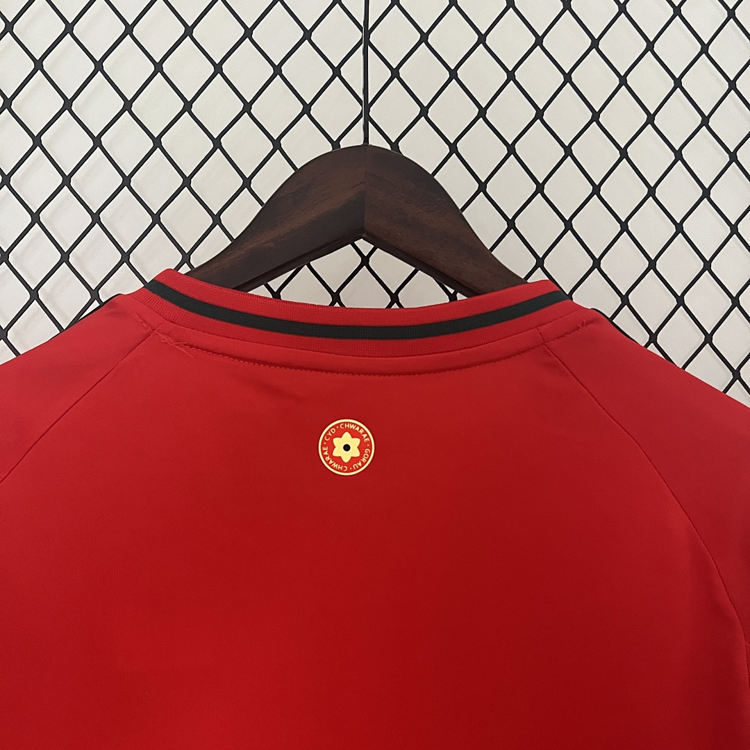 2024 Wales Titular S-XXL, foto 5