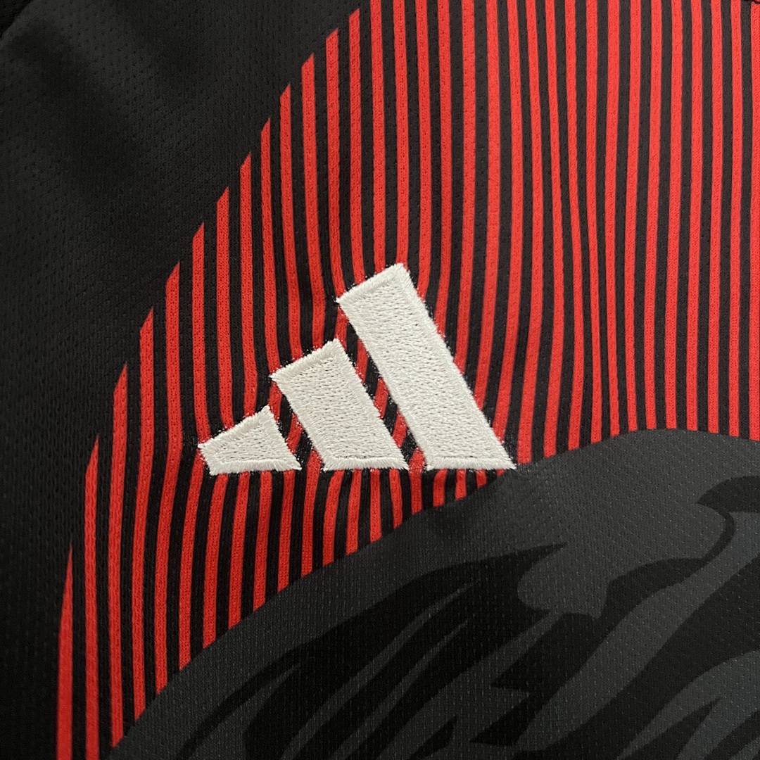 2024 Japan Edição especial S-XXL, foto 1