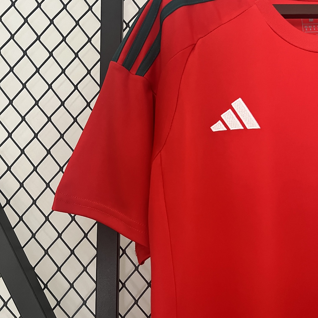 2024 Wales Titular S-XXL, foto 2