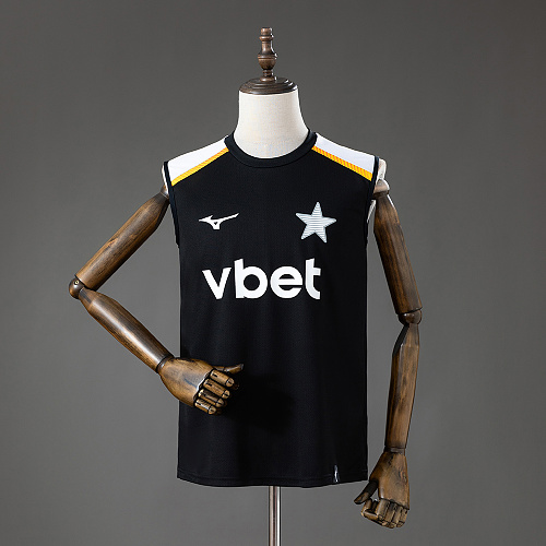 Botafogo 26/27 training vest black Camisa S-4XL