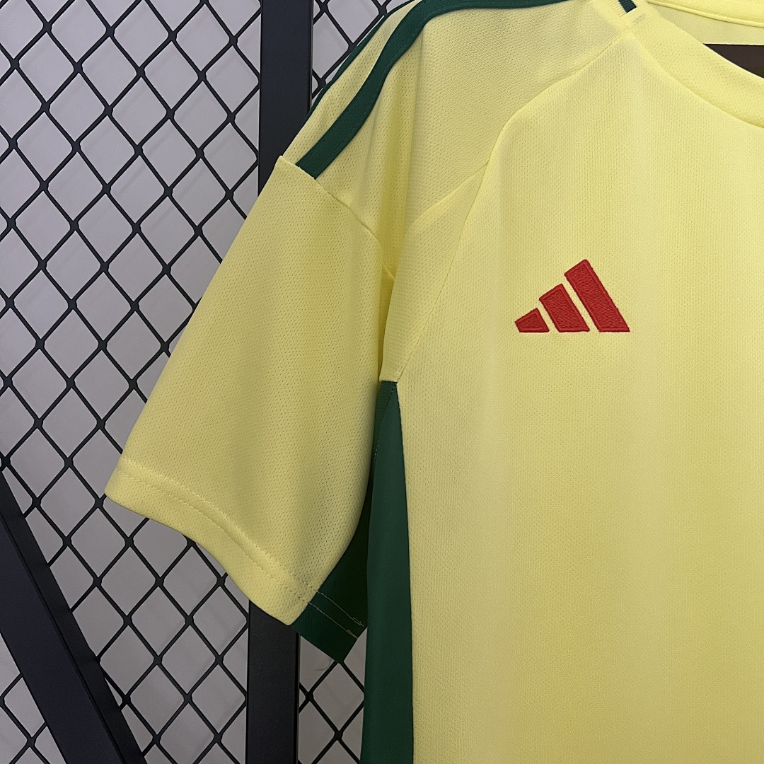 2024 Wales Visitante S-XXL, foto 6