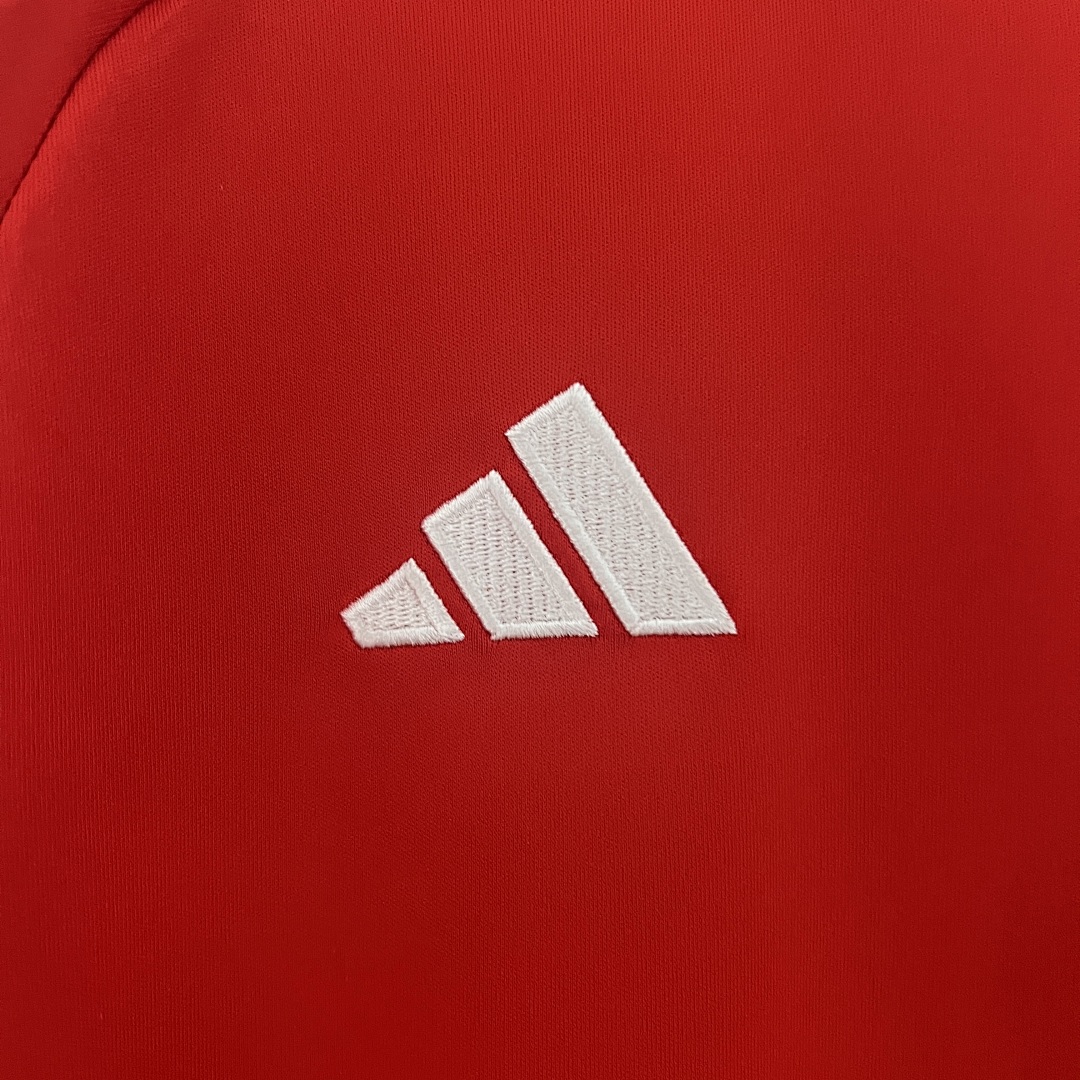 2024 Wales Titular S-XXL, foto 1