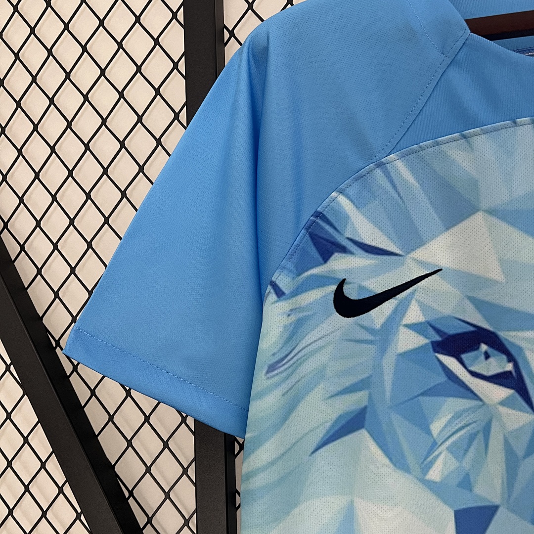 2024 Netherlands Edição especial S-XXL, foto 1