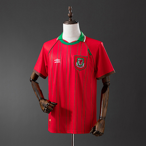 Wales 1994/96 Titular Retrô Camisa S-XXL