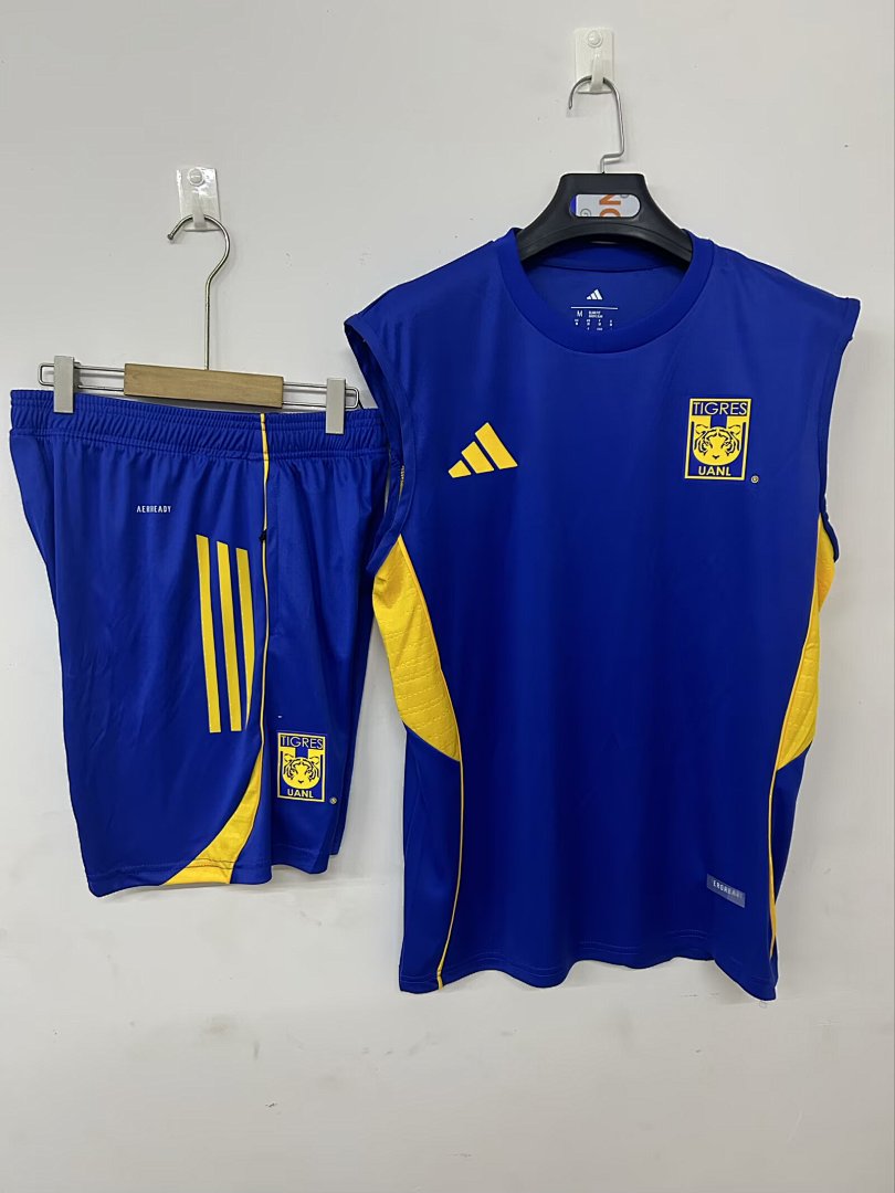25/26 Tiger Training Camisa Blue S-3XL, foto 1