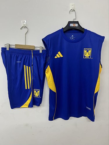 25/26 Tiger Training Camisa Blue S-3XL
