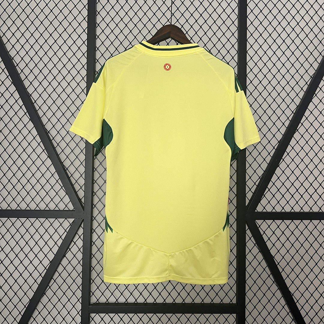 2024 Wales Visitante S-XXL, foto 2